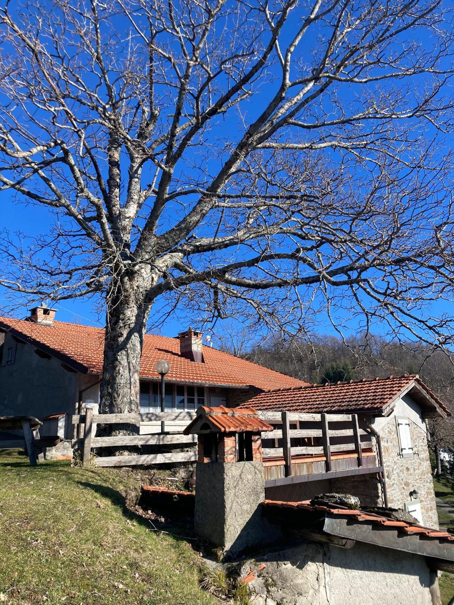 Casa Sperandini Guest House San Marcello Pistoiese Luaran gambar